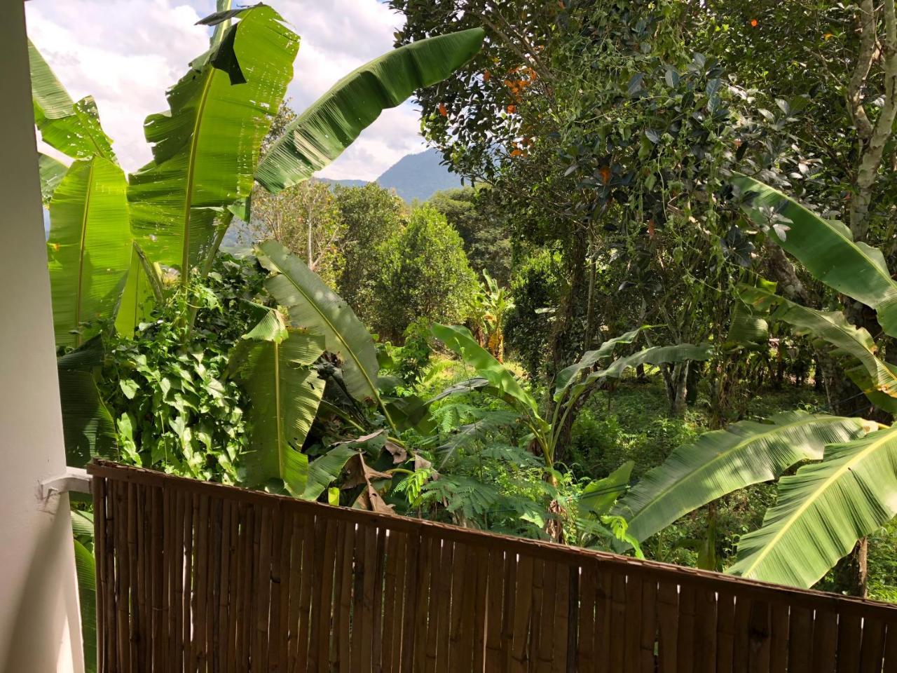 Pai Yard Guest House Exterior foto
